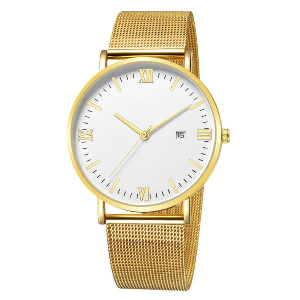 Men's Steel Dial Wrist Watch Gold and White Dial B